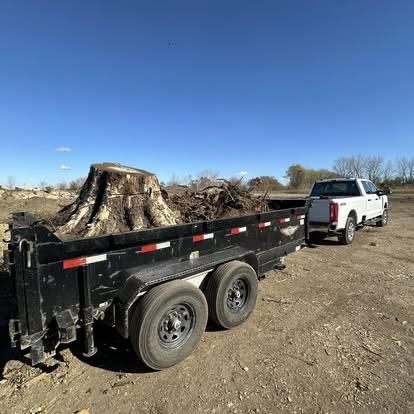 Commercial tree work