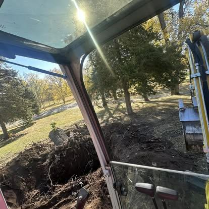 Tree planting project