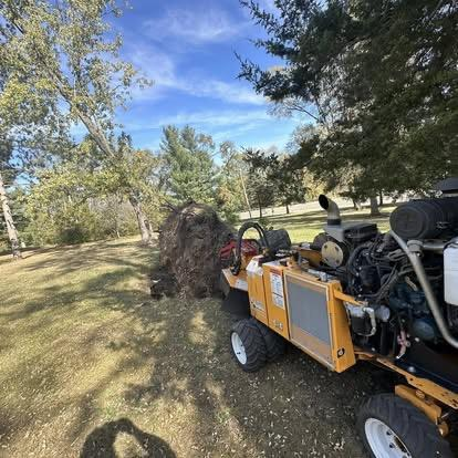 Land clearing project