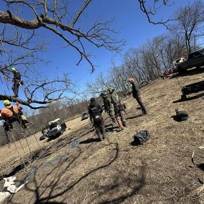 Storm cleanup project